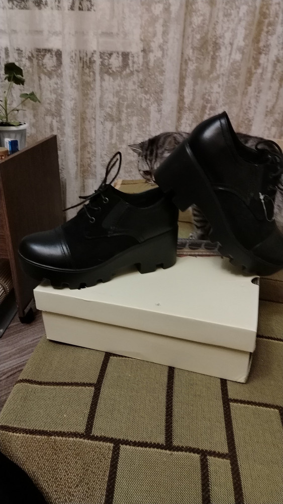 review